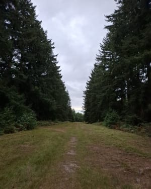 Randonnée bois de Nassandres - Nassandres sur Risle - 2