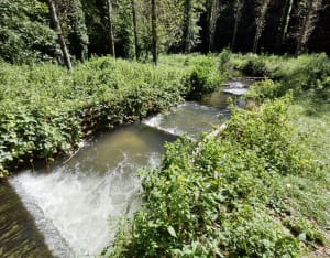 Espace Naturel Sensible de Côte Manin depuis Saint-Blaise-du-Buis - Saint-Blaise-du-Buis - 3