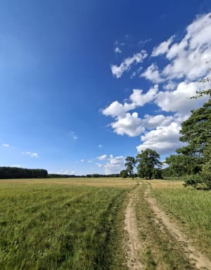 Jaszowo przy Warcie - Jaszkowo - 3