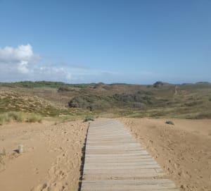 Entre forêt, mer et marais à Olonne-sur-Mer - Les Sables-d'Olonne - 7