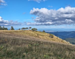 Route des crêtes et le sommet du Hohneck - Clotilde - 11