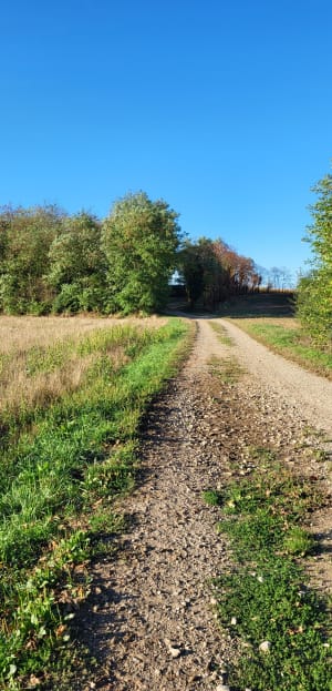 Sortie à vélo entre St-Bonnet, St-Exupéry et Dormon - Saint-Bonnet-de-Mure - 2
