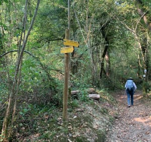 Chemin de Compostelle voie de Tours Etape Cagnotte /Sorbe - Cagnotte - 2