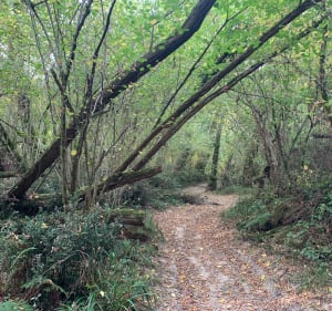 Chemin de Compostelle voie de Tours Etape Cagnotte /Sorbe - Cagnotte - 4