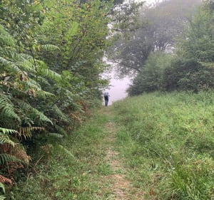 Chemin de Compostelle voie de Tours Etape Cagnotte /Sorbe - Cagnotte - 5