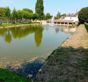 Courses Sées - Le Château-d'Almenêches - 2