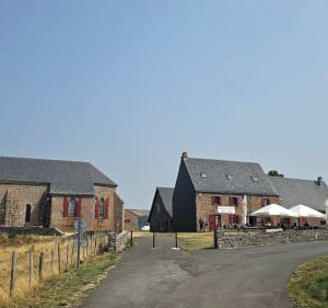 Chapelle de Vassivière en passant par la forêt. - Besse-et-Saint-Anastaise - 4