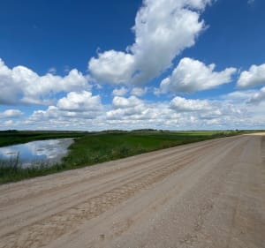 Pętla w Biebrzańskim Parku Narodowym - Dolistowo Nowe - 2