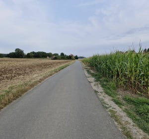 Vers Pont-à-Marcq par la voie verte et autres voies - Lysiane - 2