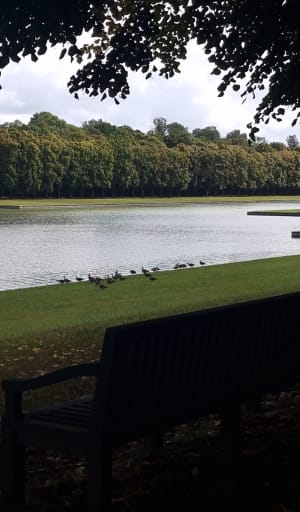 Rando dans le Parc de Louis14 à Versailles - Versailles - 7