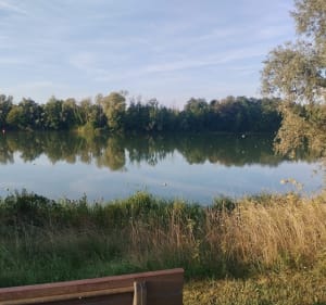 Promenade le long de la Seine autour de Mantes-la-Jolie - Mantes-la-Jolie - 3