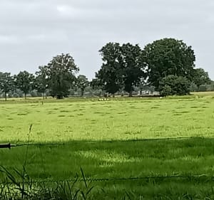 Woensdag 20 augustus 2025 - Apeldoorn - 2