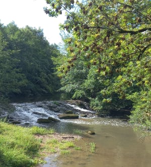 Rando dans et autour de Semur - Semur-en-Auxois - 5