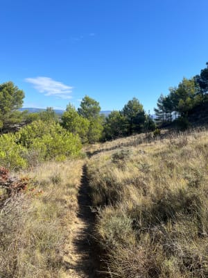 Les poulpiles de Villegailhenc - Villegailhenc - 2
