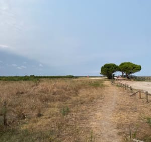Balade depuis l’église de Lanton jusqu’au bassin de réserve - Lanton - 3