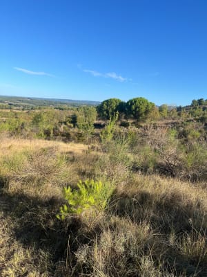 Les poulpiles de Villegailhenc - Villegailhenc - 3