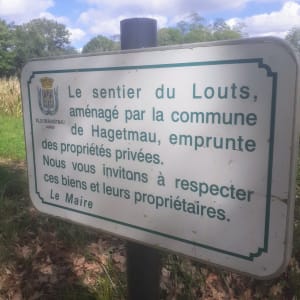 De la cité verte au Lac d'Agès par le sentier du Louts - thierry - 3