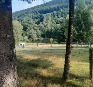 Les scieries de Saint Maurice sur Moselle - Saint-Maurice-sur-Moselle - 2