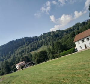 Les scieries de Saint Maurice sur Moselle - Saint-Maurice-sur-Moselle - 4