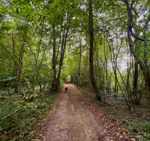 Balade au départ de Fourdrain - Fourdrain - 2