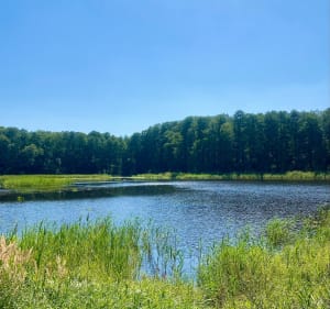 Szlak rowerowy „Na górę Chełmo” - Radomsko - 3
