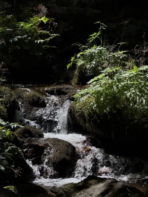 Magnifique cascades de la Serva et Magique Neuviller - Neuviller-la-Roche - 4