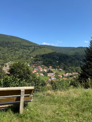 Magnifique cascades de la Serva et Magique Neuviller - Neuviller-la-Roche - 5