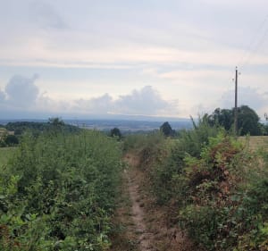 Promenade à Fleury La Montagne - ANTOINE - 2
