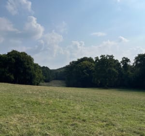 Départ de Moernach, Kastelberg , tour du Rossberg - Mœrnach - 4