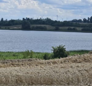 Wzdłuż rzeki Dzierzgoń i wokół jeziora Kuksy - Dzierzgoń - 3