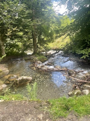 Courtaou des Esclodes - Campan - 13