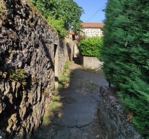 Petite randonnée à Davézieux - Davézieux - 3