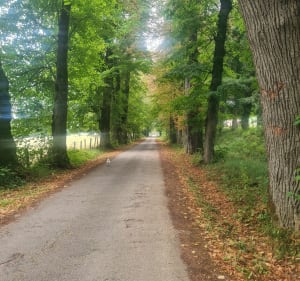 Balade des 6 châteaux - Saint-Geoire-en-Valdaine - 3