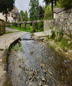 Balade forêt de valfroicourt - Valfroicourt - 2