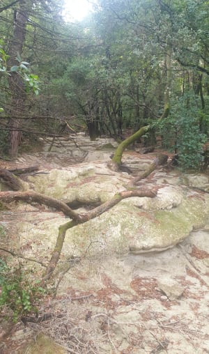 Sources de l'Huveaune - Nans-les-Pins - 14