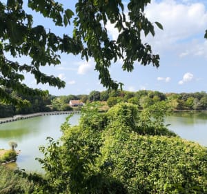 Lac de Trizay - Trizay - 3