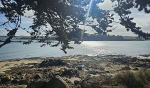 Tour de l'Île-Grande : Je, tu, îles, nous, vous, ailes - Île-Grande - 9