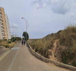 Entre terre et mer sur St Jean-de-Monts - Saint-Jean-de-Monts - 2