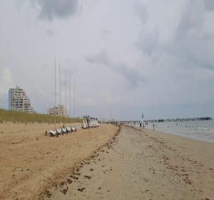 Entre terre et mer sur St Jean-de-Monts - Saint-Jean-de-Monts - 3