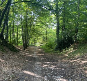 Balade autour de Clairefontaine-en-Yvelines - Clairefontaine-en-Yvelines - 4