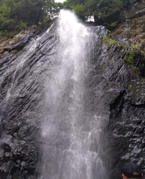 Randonnée aux cascades du Queureuilh, du Rossignolet et du Saut du Loup - Mont-Dore - 3