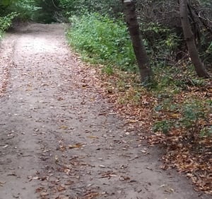 Trasa przez 3 grojce - Żywiec - 5
