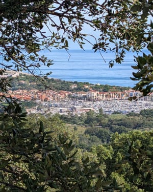 De Racou aux criques de Collioure - Argelès-sur-Mer - 4