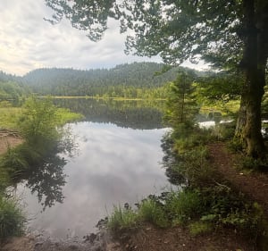 Du Gouttridos au Lac de Lispach - Xonrupt-Longemer - 3