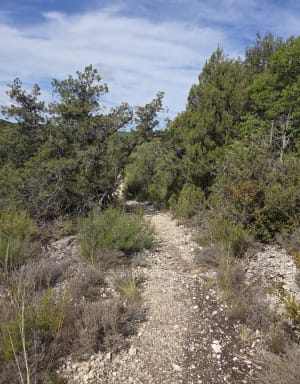 Wandel tussen de meren van Montpezat en Sainte-Croix - Montagnac-Montpezat - 7