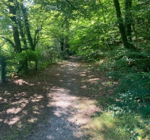 Bois de Tremelin et île de Locastel - nathalie - 2