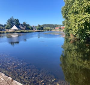 Bois de Tremelin et île de Locastel - Inzinzac-Lochrist - 2