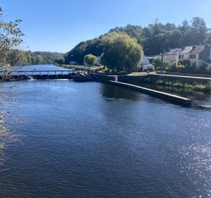 Bois de Tremelin et île de Locastel - Inzinzac-Lochrist - 3