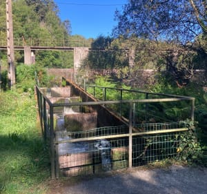 Bois de Tremelin et île de Locastel - Inzinzac-Lochrist - 5