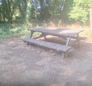 Benon par forêt - Benon - 2